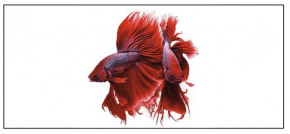 Tasse mit Kampffisch-Logo in Rot